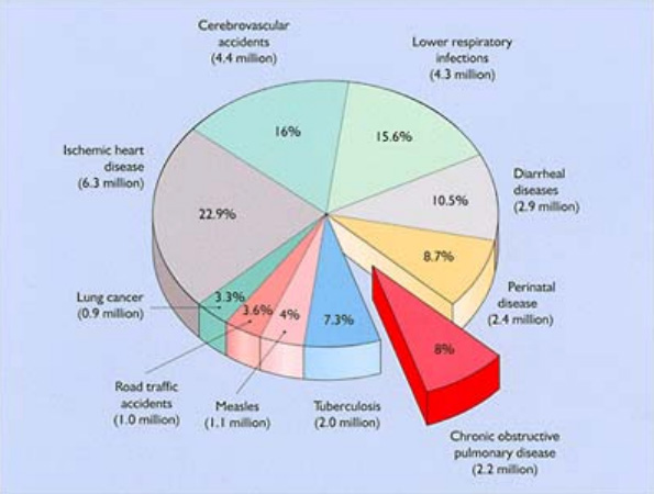Leading causes of mortality world-wide pie-chart