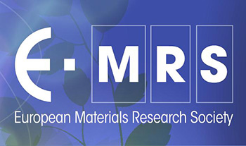 Annual Meeting of the European Materials Research Society Fall logo