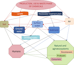 chart environmental toxicology