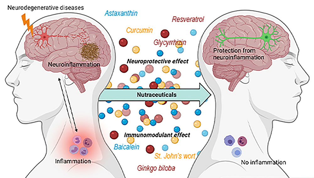 Taxifolin (Dihydroquercetin) & Neurodegenerative Diseases Taxifolin (Dihydroquercetin) & Neurodegenerative Diseases