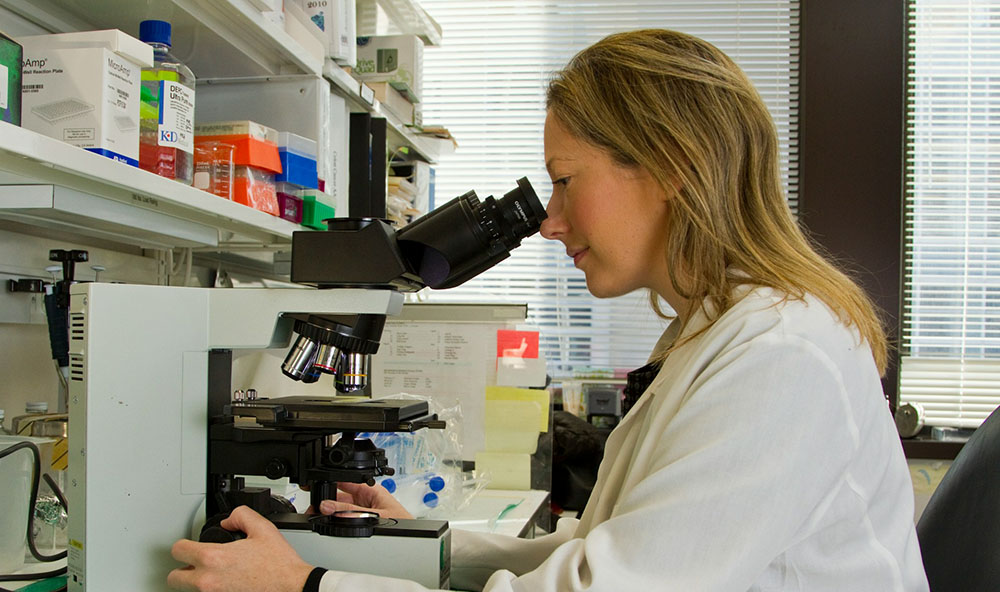 A female scientist in a laboratory looks through a microscope